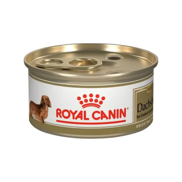 Lata Dachshund Adulto Royal Canin Dachshund<br>85 Gr