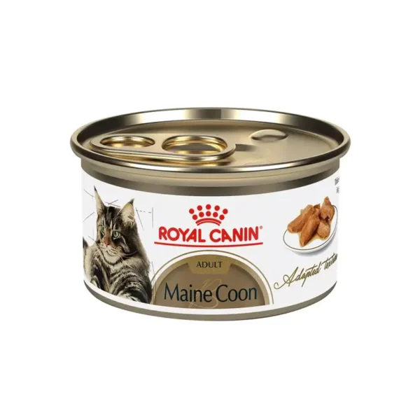 Royal Canin Maine Coon<br>85 Gr